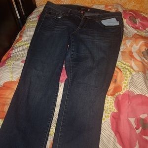 Torrid Regular Length Jeans